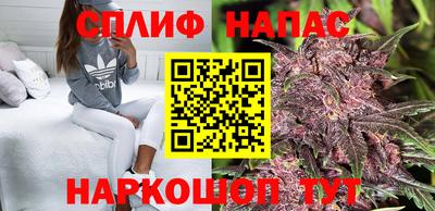 PSILOCYBIN Дубна