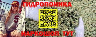 PSILOCYBIN Дубна