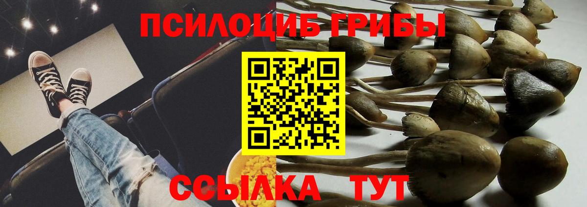 Галлюциногенные грибы Psilocybine cubensis  Вход с VPN  Кудрово  Псилоцибиновые грибы Magic Shrooms 